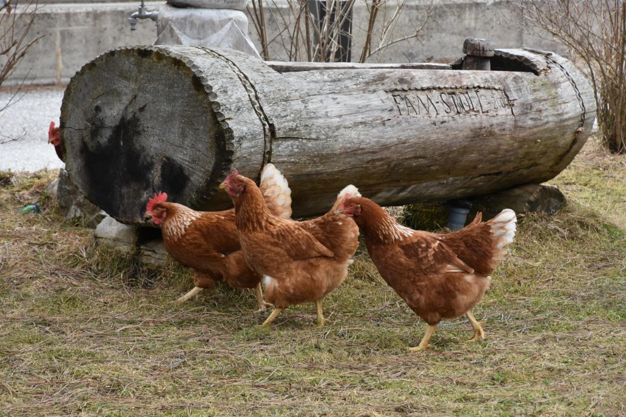 Auenhof Daire Gschnitz Dış mekan fotoğraf